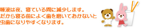 唾液は夜寝ている間に減少します。だから寝る前によく歯を磨いておかないと虫歯になりやすくなります。